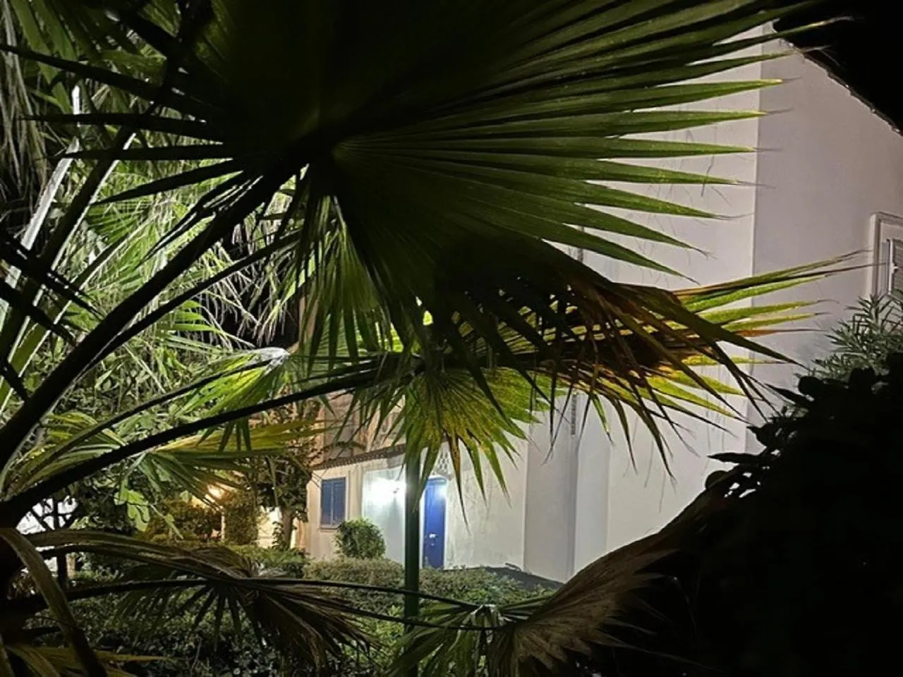 Estate Senza Fine - Endlees Summer Fregenae Homestay